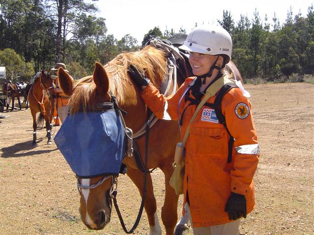 SES Mounted Section